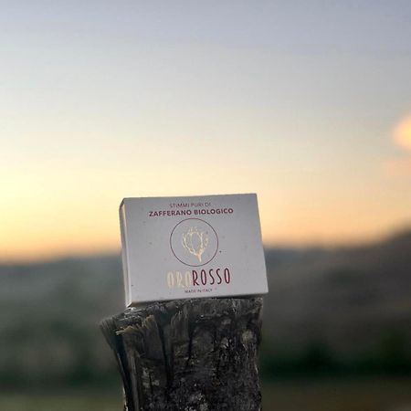Agriturismo La Terrazza Sul Mangia Siena Ngoại thất bức ảnh