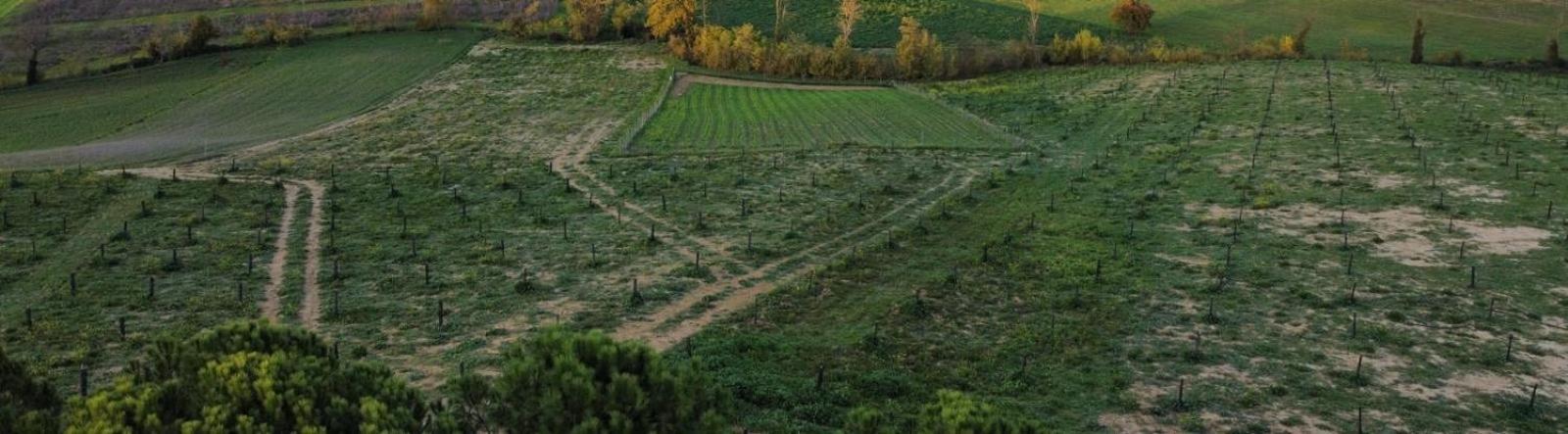 Agriturismo La Terrazza Sul Mangia Siena Ngoại thất bức ảnh