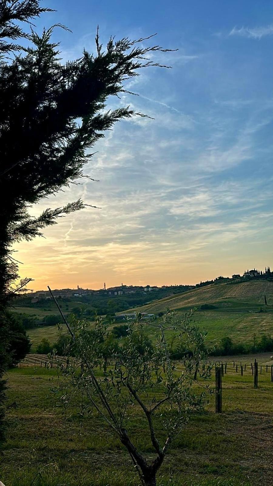 Agriturismo La Terrazza Sul Mangia Siena Ngoại thất bức ảnh