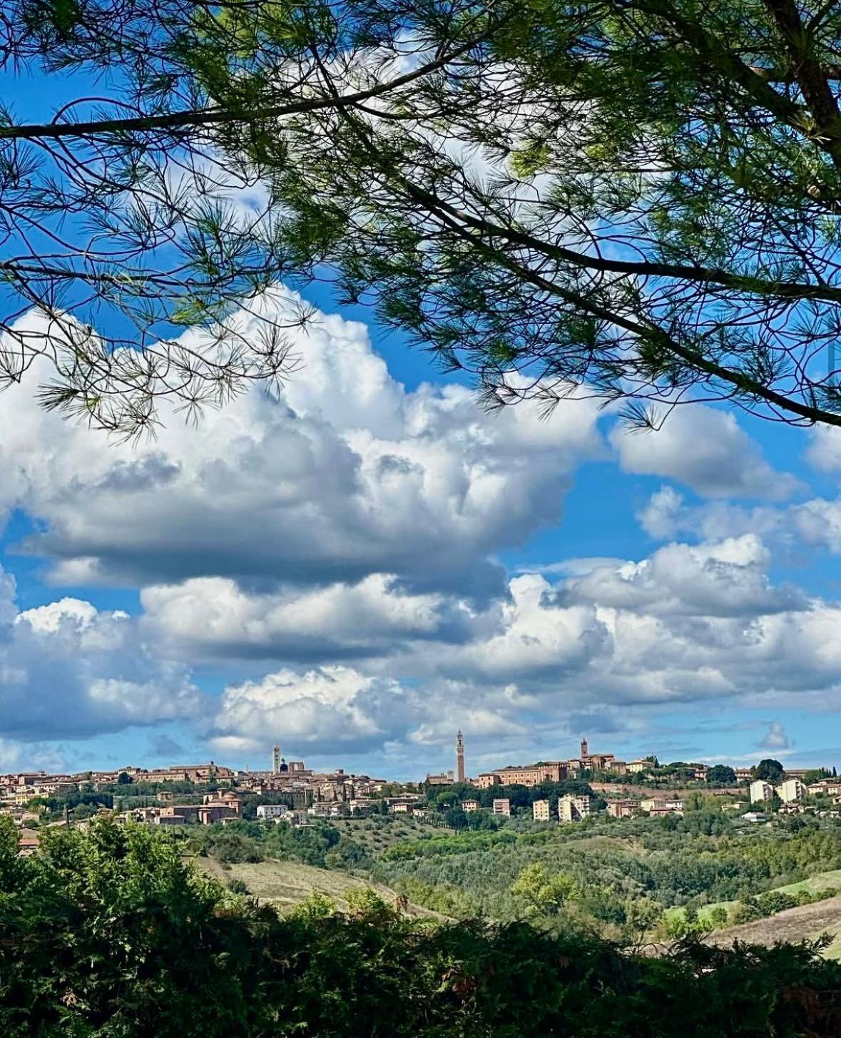Agriturismo La Terrazza Sul Mangia Siena Ngoại thất bức ảnh